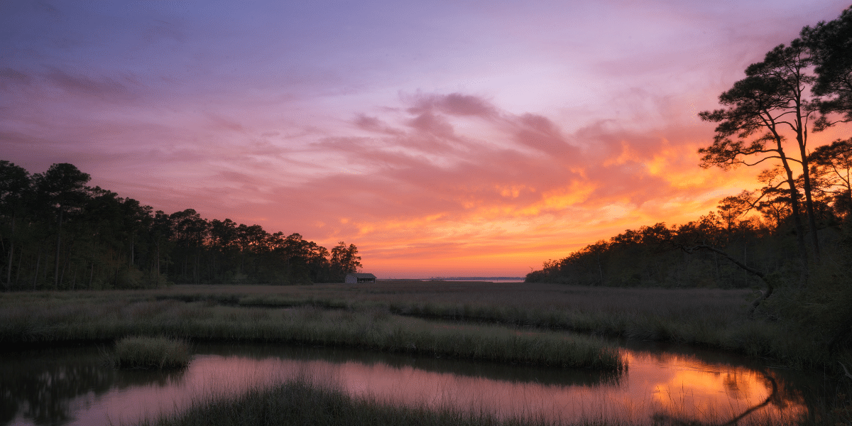 Stories and Humor | Cajun Men Cook